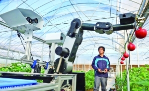 盤點(diǎn)農(nóng)用智能機(jī)器人:機(jī)器人鋤草效率增60倍-科教臺(tái)-中國(guó)網(wǎng)絡(luò)電視臺(tái)