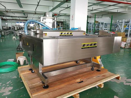 真空食品包裝機 全自動連續(xù)式食品真空包裝機 星火機械設(shè)備